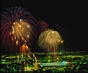 Fireworks over Ellispark, Johannesburg, South Africa