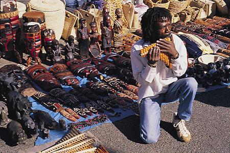 Musician at Flea Market, Johannesburg, South Africa