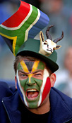 Springboks Rugby fan at the Tri Nations Rugby International