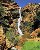 Witpoortjie Waterfall, Witwatersrand National Botanical Garden, Roodepoort