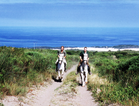 Horseback riding, Grootbos Private Nature Reserve