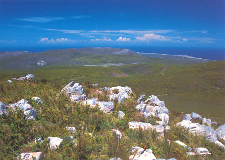 View of the Whale Coast from Grootbos Nature Reserve