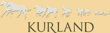 Kurland Luxury Country Hotel, an exclusive Polo Estate near Plettenberg Bay on the Garden Route