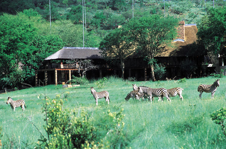 Kwa Maritane and zebras