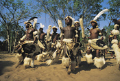 Zulu Dancers - Shakaland