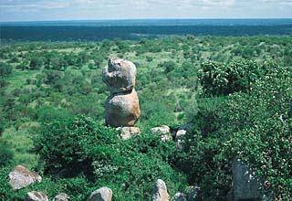 The surrounding bushveld viewed from Lebombo