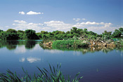  Pietersburg Bird Park