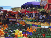  Fruit Market in Venda near Thohayandou