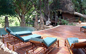 One of Makalali's camp's swimming pool and sun deck