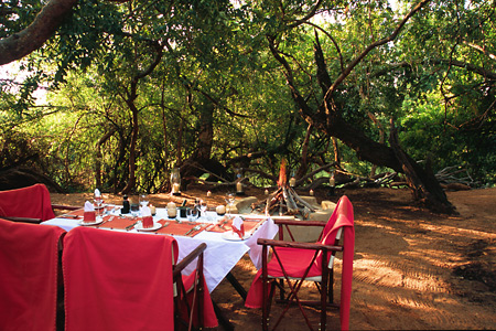 Brunch is served, Makanyane Safari Lodge, Madikwe Reserve