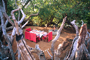 Meals in the boma at Makanyane Safari Lodge, Madikwe Reserve