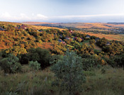 View of Magaliesburg