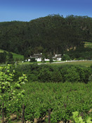 Mont Rochelle Hotel and Mountain Vineyards