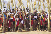 Reed Dance performed by Swazi Maidens