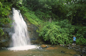 Maria Shires Falls, Graskop