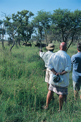 Rhino tracking at Ndumo