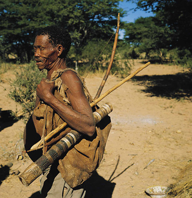 Kalahari Bushman