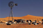 Windmill and farm scene, Northern Cape
