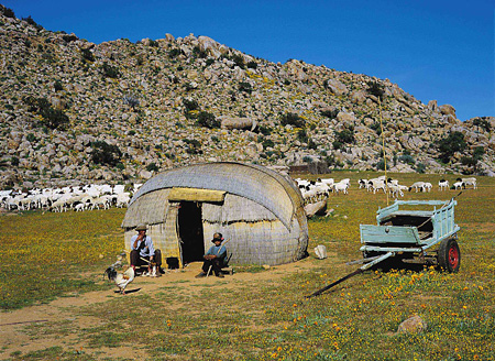 Nomadic goat and sheep herdsman, Northern Cape