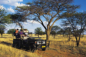Game Viewing, Pilanesberg National Park