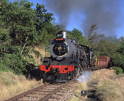 Steam Train excursion, Magaliesburg
