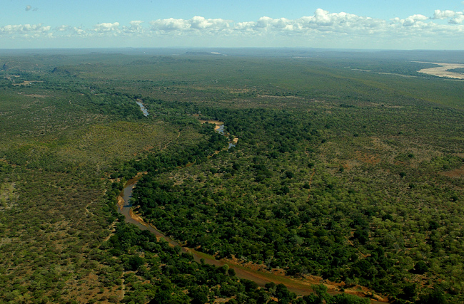 Aerial view over Kruger National Park