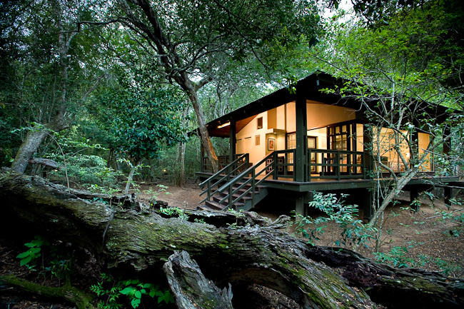 View of Phinda Forest Lodge Suite