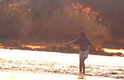 Fly fishing in the Sand River