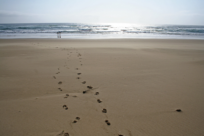 Footsteps in paradise