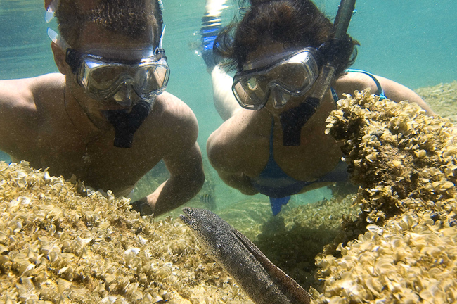 Snorkeling at Rocktail Bay