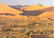 The picturesque dunes of the Namib Desert, Namibia