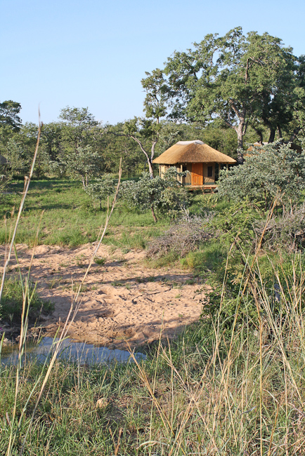 Shindzela Safari Tent