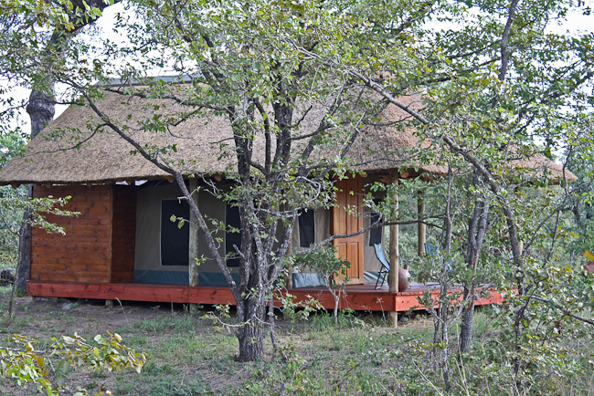 View of Shindzela tented accommodation