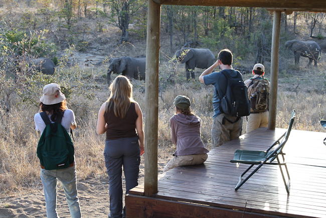 Game viewing from tents