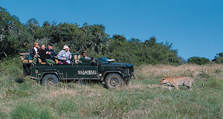 Game drive and Leopard at Shamwari Game Reserve