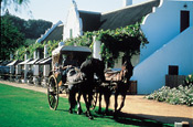 Horse drawn carriage at the Village at Spier Estate