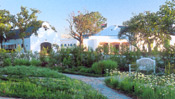 The Village at Spier gardens are a pleasure to stroll through