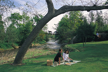 Romantic picnic along the Eerste river at Spier