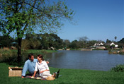 Spier's grounds are excellent for midday picnics