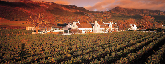 Steenberg Country Hotel in the Cape Winelands of South Africa