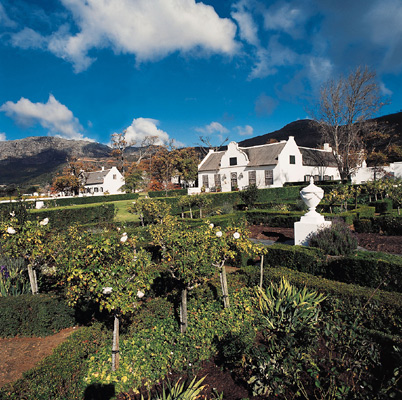 Steenberg Hotel and Wine Farm's Maze Gardens