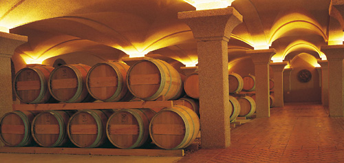 Steenberg Wine Maturation Storage Cellar