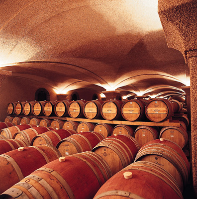 Steenberg Wine Maturation Storage Cellar