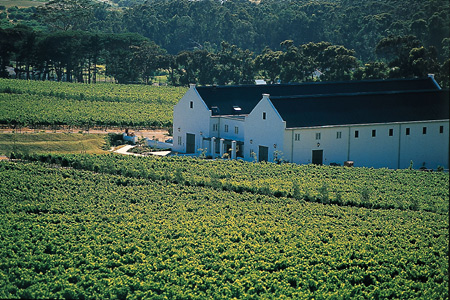 Steenberg Hotel and Wine Farm is a working winery