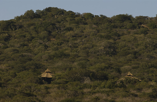 Tented Camp – Aerial view