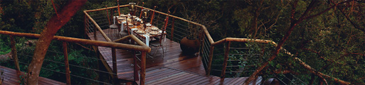 Dining on the raised decks at Tsala Treetop Lodge