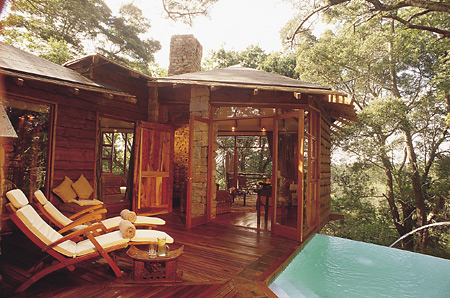 Elevated guest suite in the forest canopy at Tsala