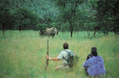 Game walk and rhino at Tshukudu Bush Lodge