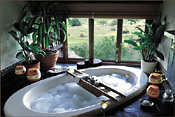 Bathing with a view of Pilanesberg