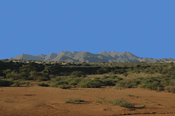 Kalahari Vista